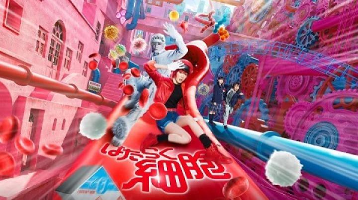 مشاهدة فيلم Cells at Work 2024 مترجم شاهد فور يو